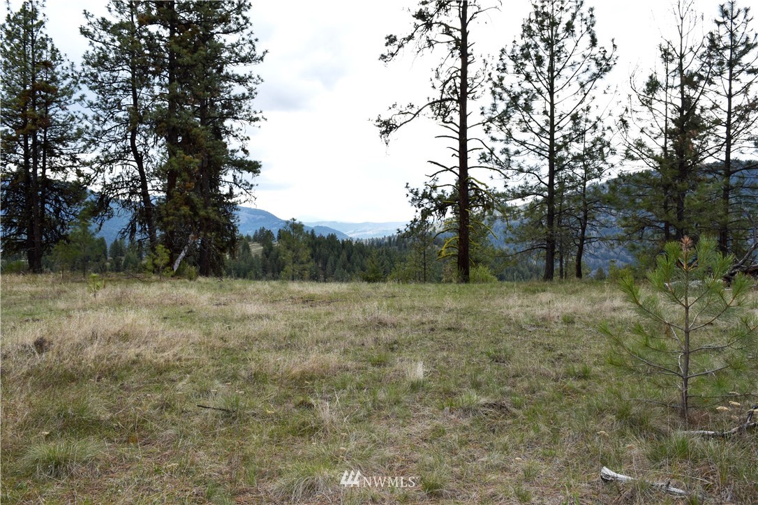 102 Four Winds Road Curlew, WA 99118 - Photo 18 of 25 Gallery Image 18