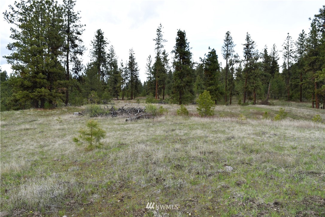 102 Four Winds Road Curlew, WA 99118 - Photo 19 of 25 Gallery Image 19