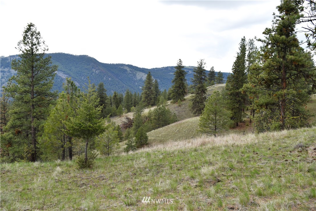 102 Four Winds Road Curlew, WA 99118 - Photo 5 of 25 Gallery Image 5