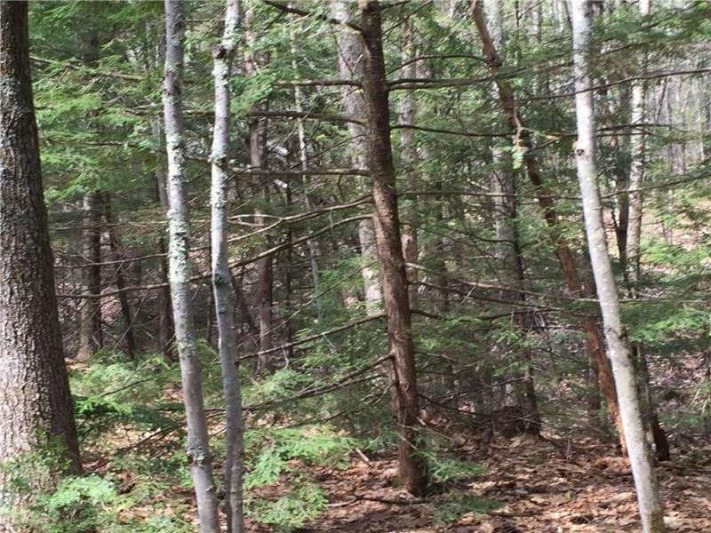 280 Valley Road North Berwick, ME 03906 - Photo 1 of 1 Valley
