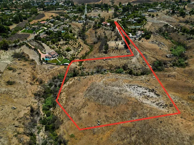 a view of a yard with plants