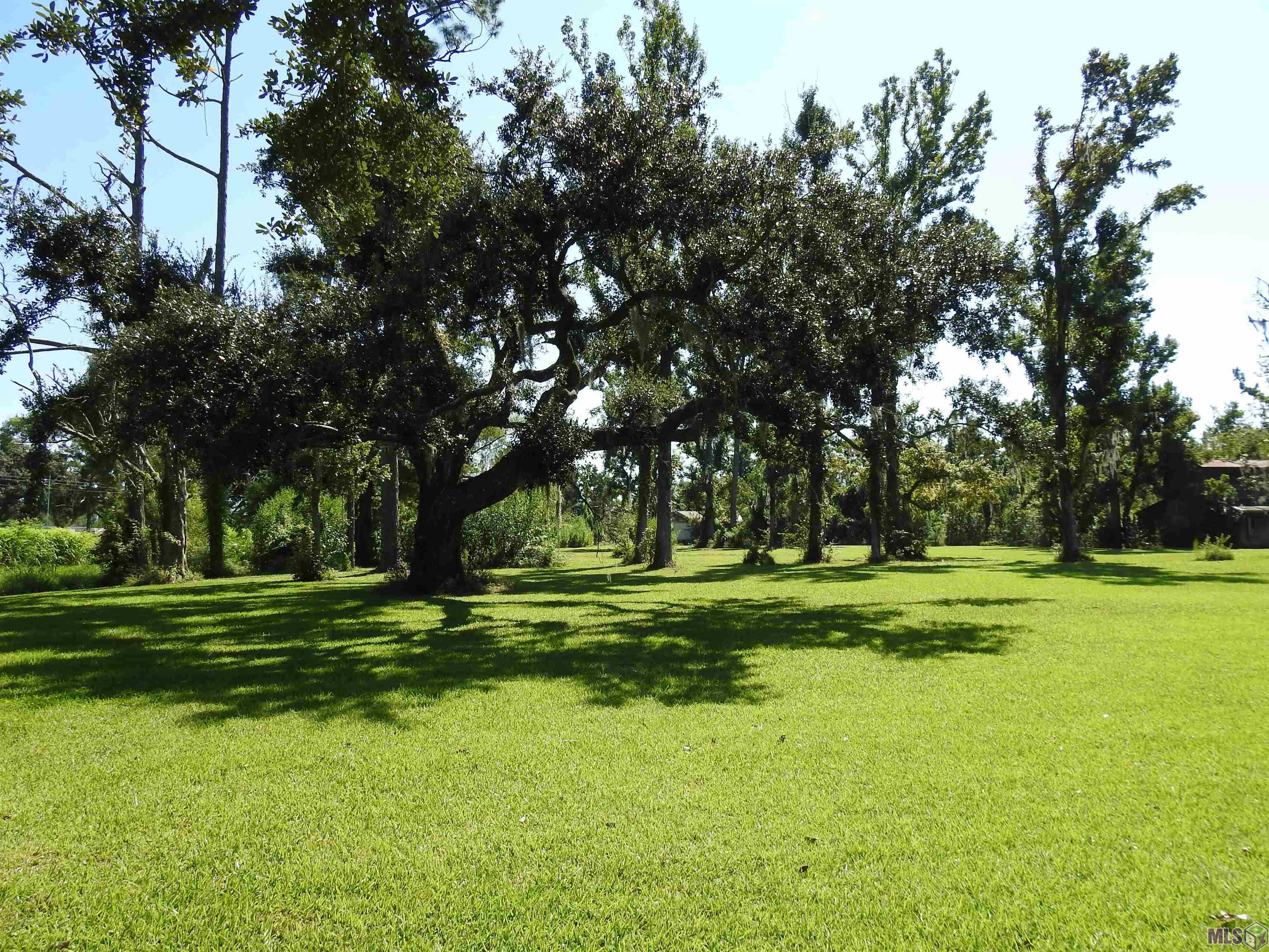 1025 Bayou Blue Road Houma, LA 70364 - Photo 8 of 49 Front Yard