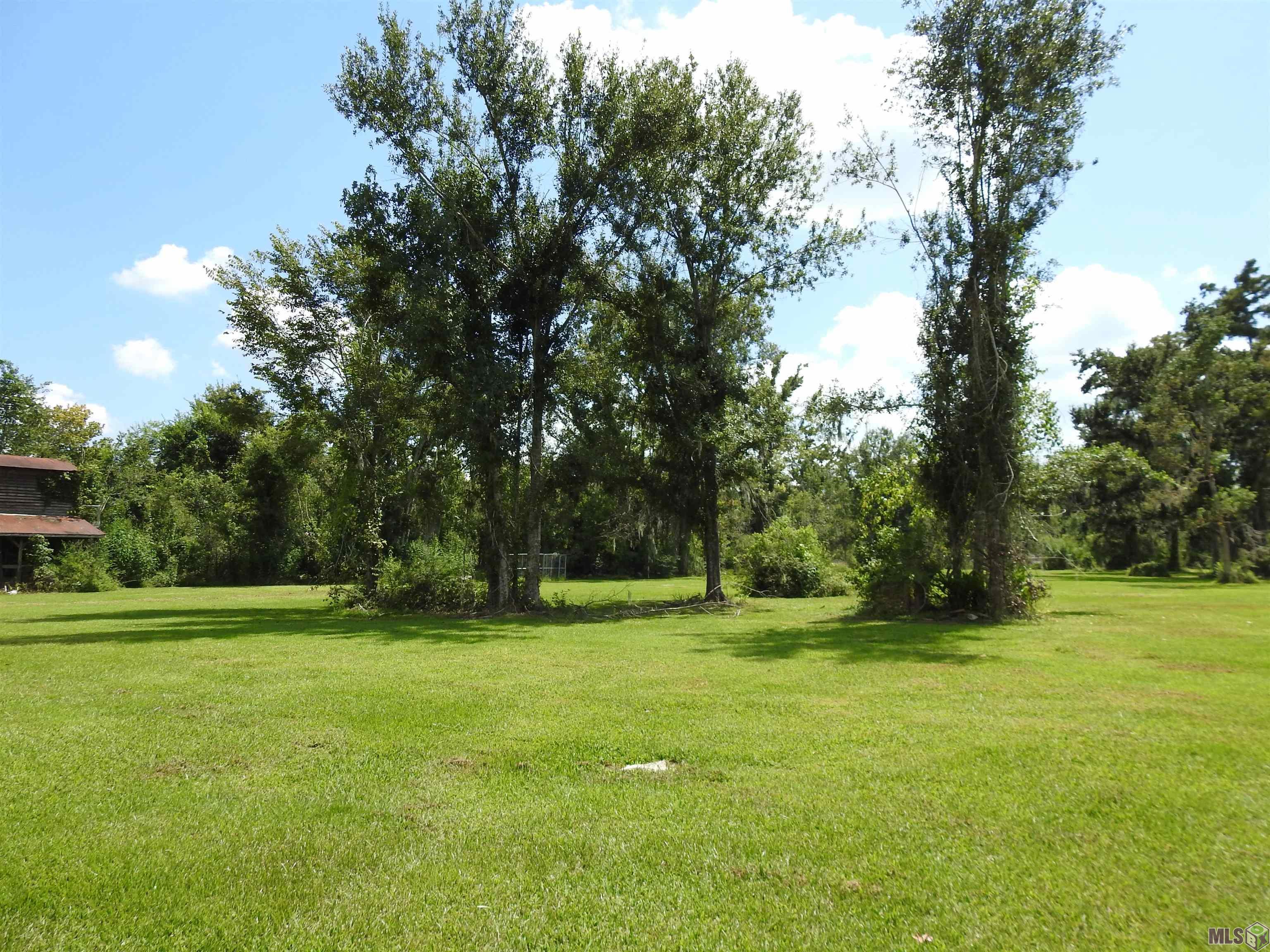 1025 Bayou Blue Road Houma, LA 70364 - Photo 10 of 49 Back Yard