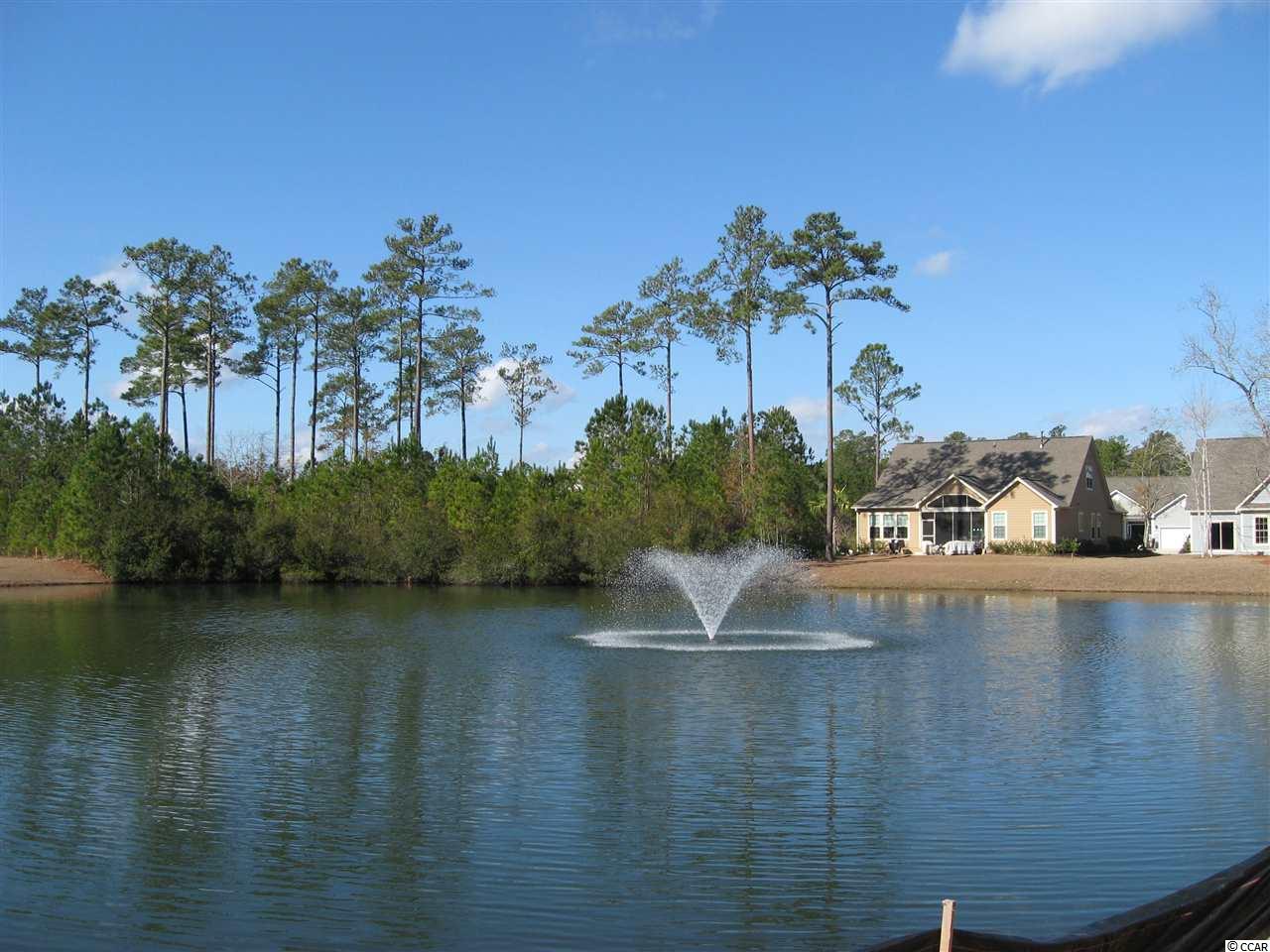 5 Summerlight Drive Murrells Inlet, SC 29576 - Photo 6 of 6