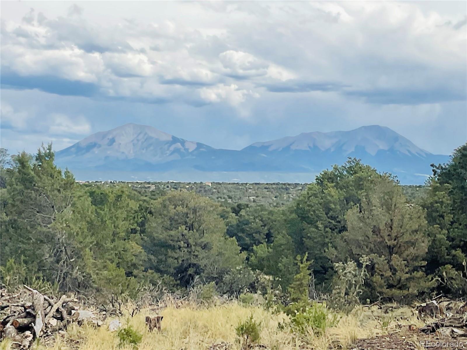 17 Phase 3 Navajo Ranch Walsenburg, CO 81089 - Photo 1 of 26 a view of a bunch of trees in a field