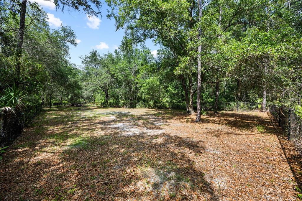 3851 Pacente Loop Wesley Chapel, FL 33543 - Photo 37 of 38