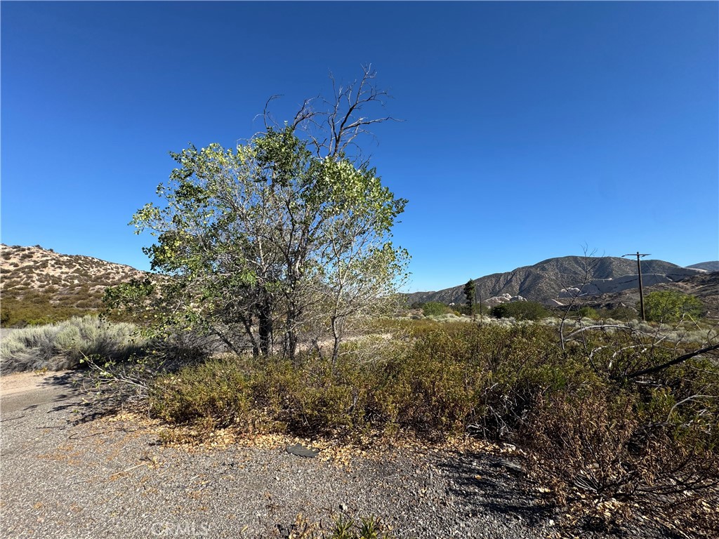 4292 Davis Ranch Road Phelan, CA 92371 - Photo 13 of 50 a view of a field