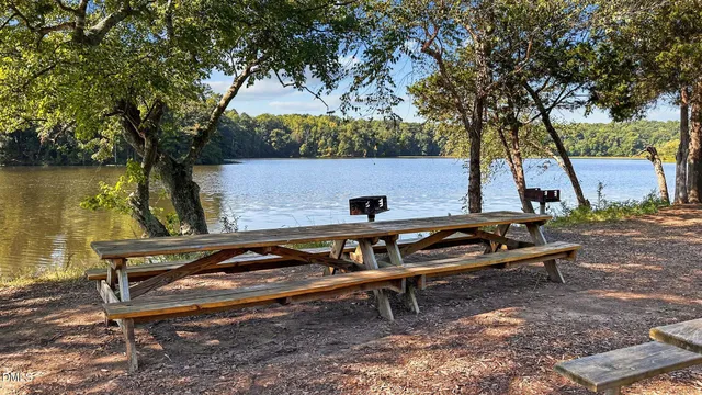 a view of a park with a large tree