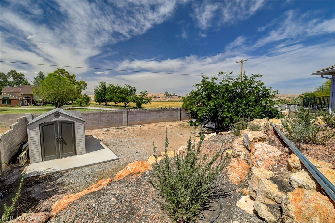 4362 Thistle Street Logandale, NV 89021 - Photo 94 of 99 A well-maintained yard provides ample space for outdoor activities and includes a functional storage shed.