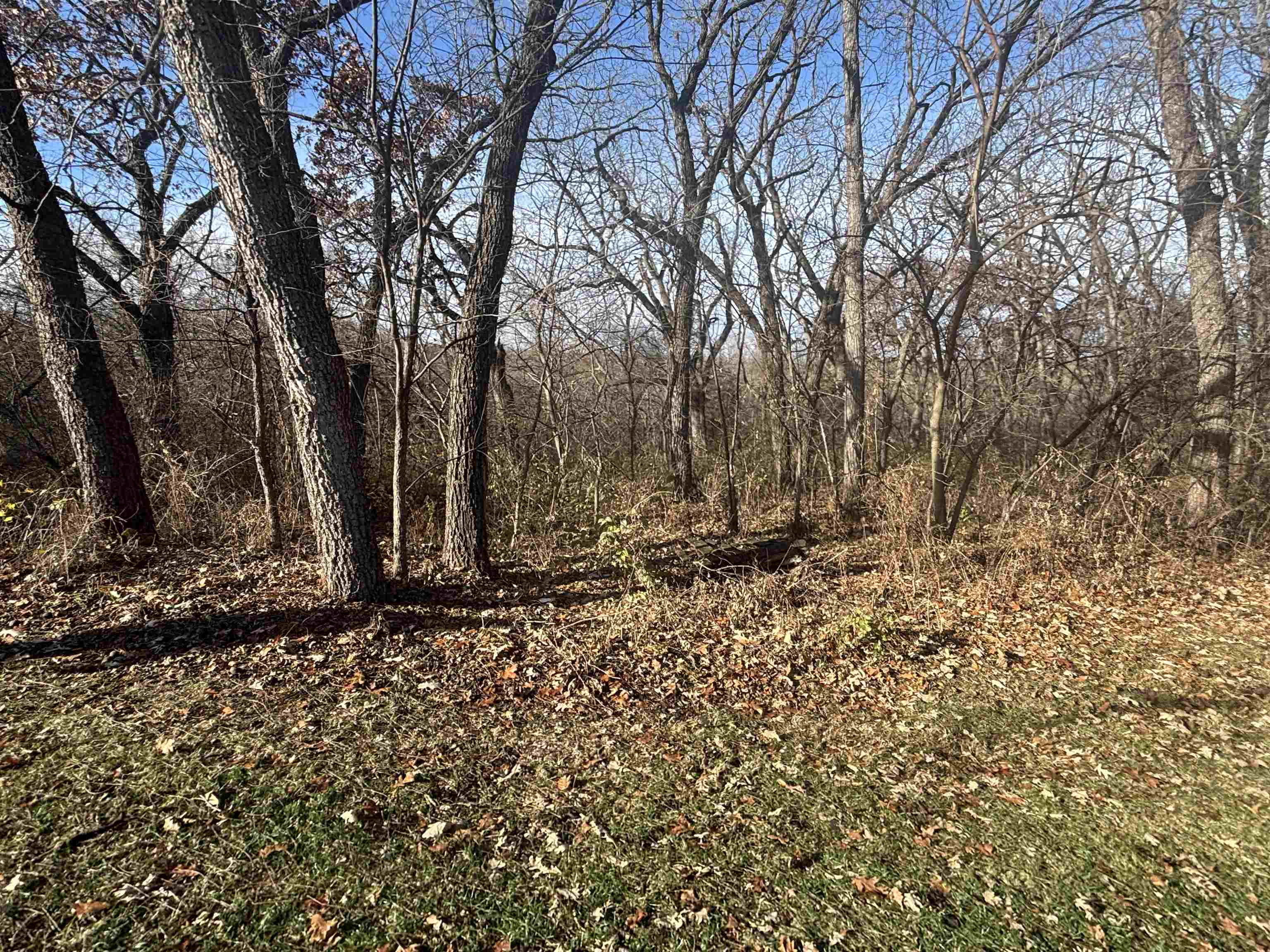 8675 Philippine Road South Wayne, WI 53587 - Photo 12 of 72