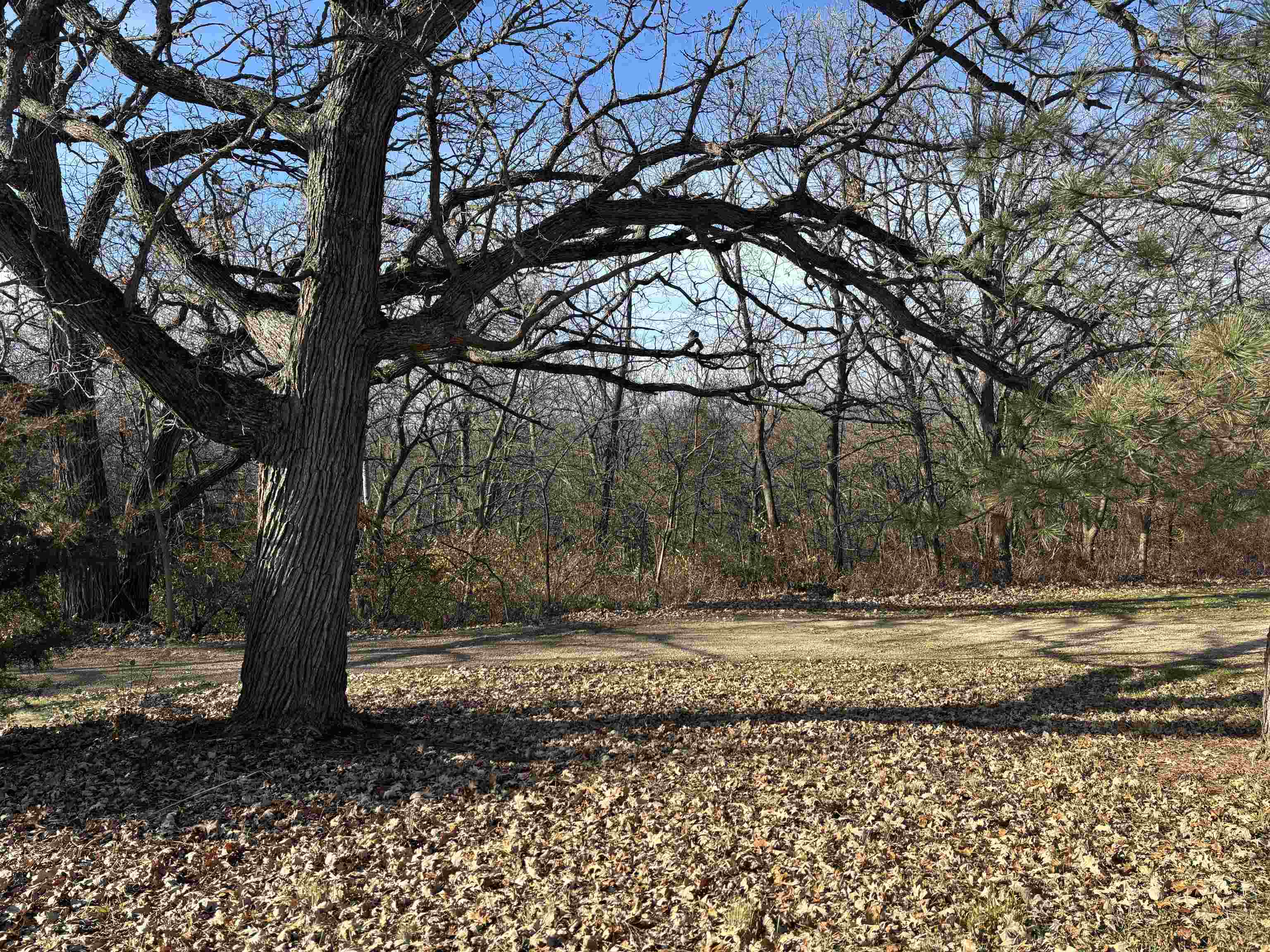 8675 Philippine Road South Wayne, WI 53587 - Photo 13 of 72