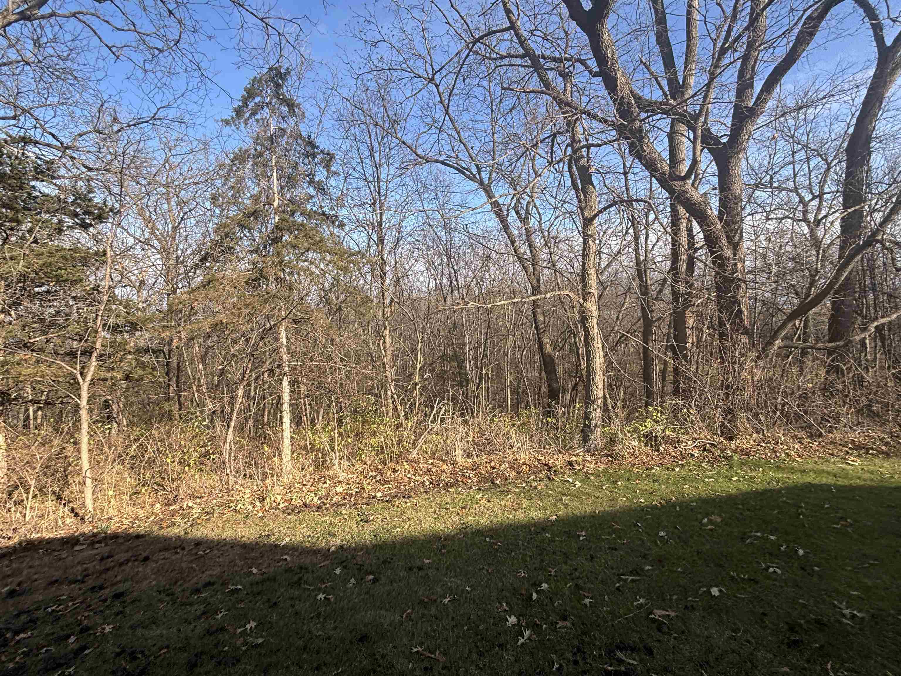 8675 Philippine Road South Wayne, WI 53587 - Photo 14 of 72