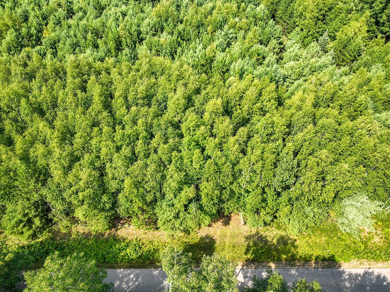 Lot 2 O Neil Road Eagle River, WI 54521 - Photo 17 of 23 Gallery Image 17