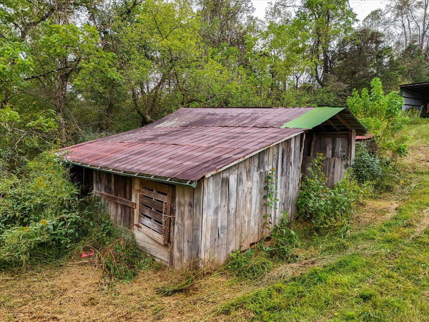 6481 Roanoke Road Fincastle, VA 24090 - Photo 13 of 47 a view of a backyard that has plants and a large tree