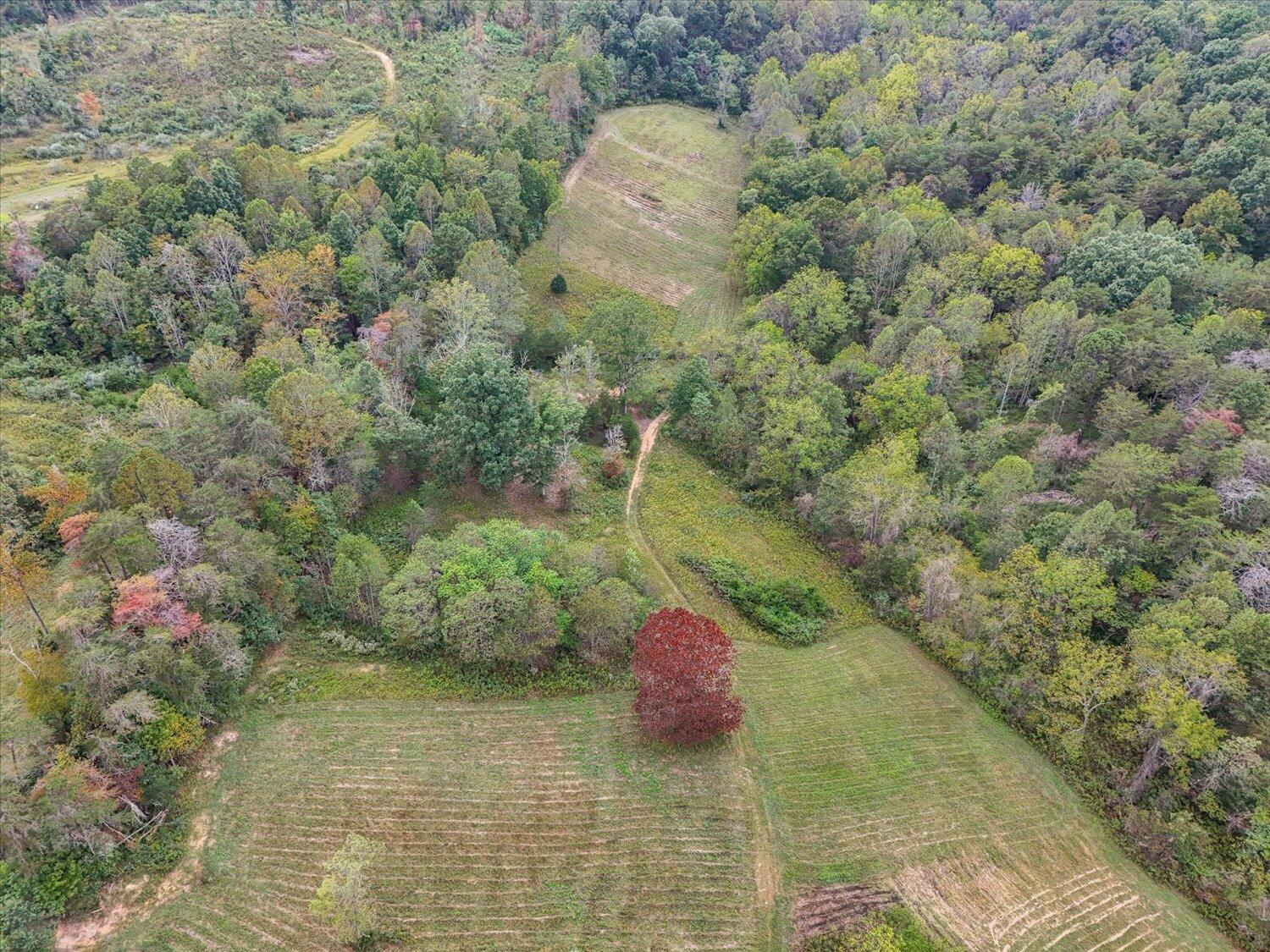 6481 Roanoke Road Fincastle, VA 24090 - Photo 33 of 47 a view of a yard