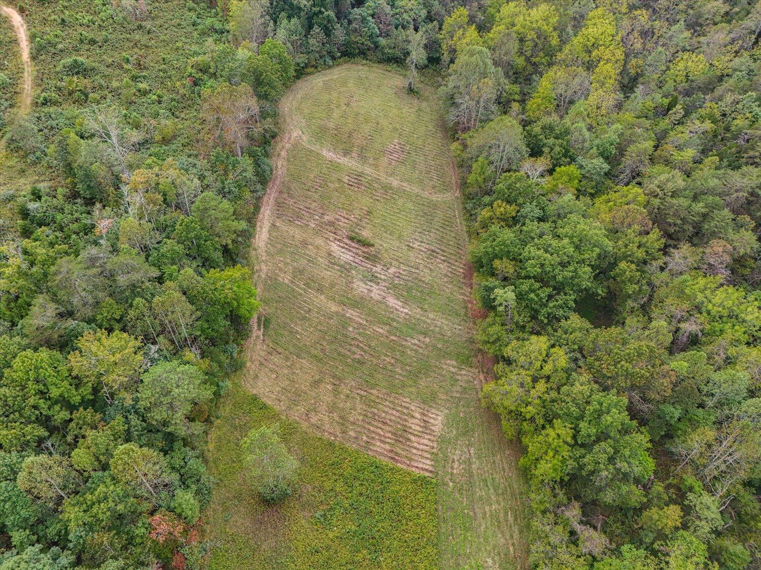 6481 Roanoke Road Fincastle, VA 24090 - Photo 34 of 47 a view of a forest