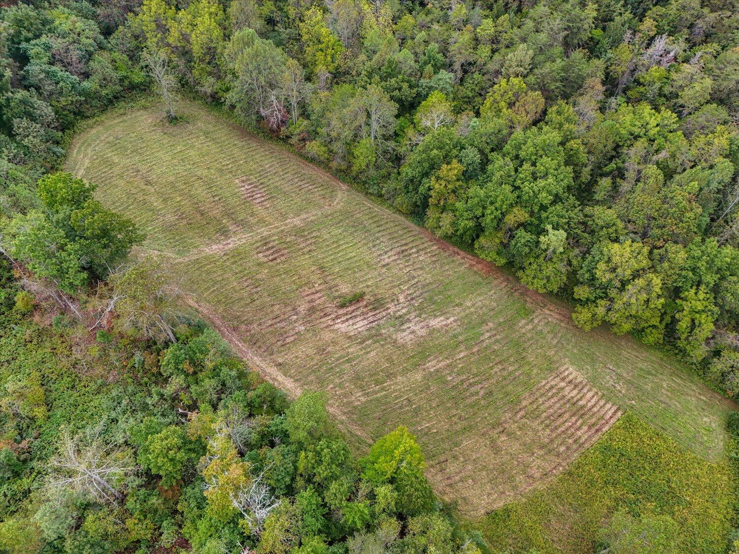 6481 Roanoke Road Fincastle, VA 24090 - Photo 35 of 47 a view of a yard with plants