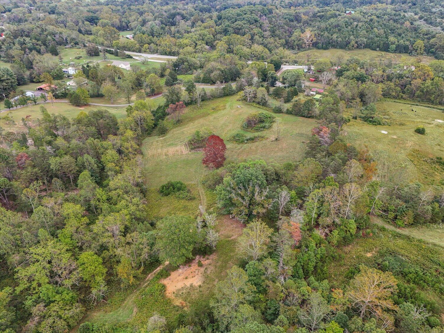 6481 Roanoke Road Fincastle, VA 24090 - Photo 36 of 47 a view of a forest