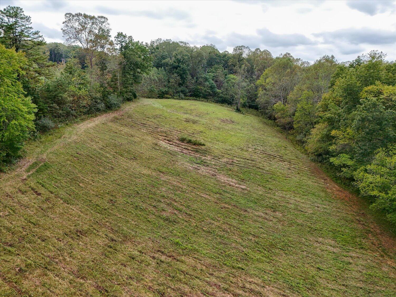 6481 Roanoke Road Fincastle, VA 24090 - Photo 37 of 47 a view of a yard with trees in the background