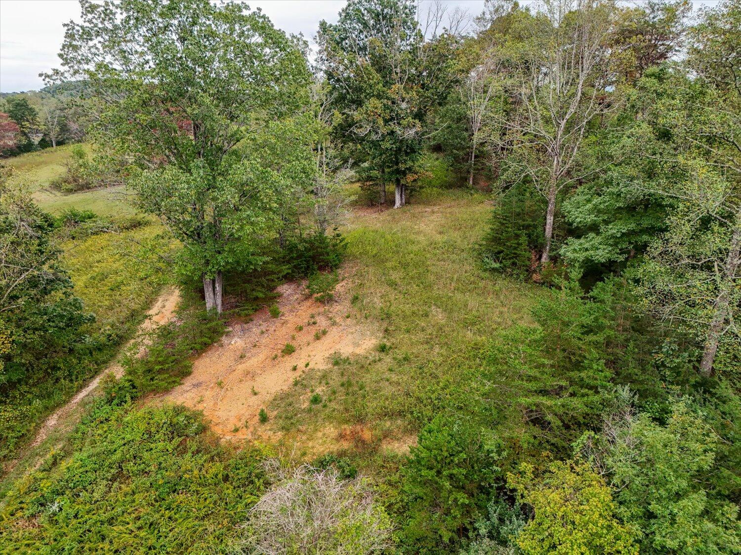 6481 Roanoke Road Fincastle, VA 24090 - Photo 38 of 47 a view of a yard with plants and a bench