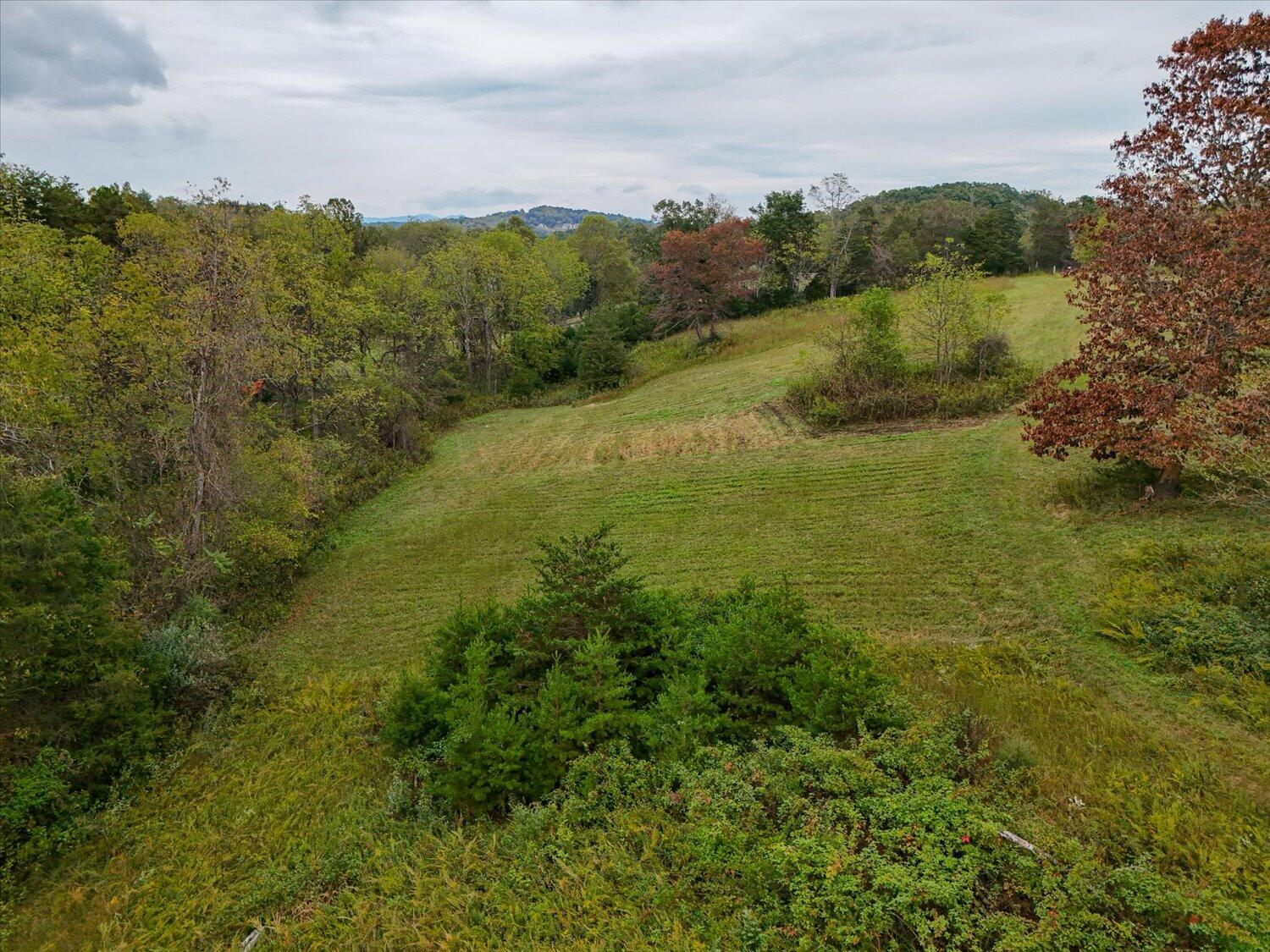 6481 Roanoke Road Fincastle, VA 24090 - Photo 39 of 47 a view of a lake with a mountain in the background