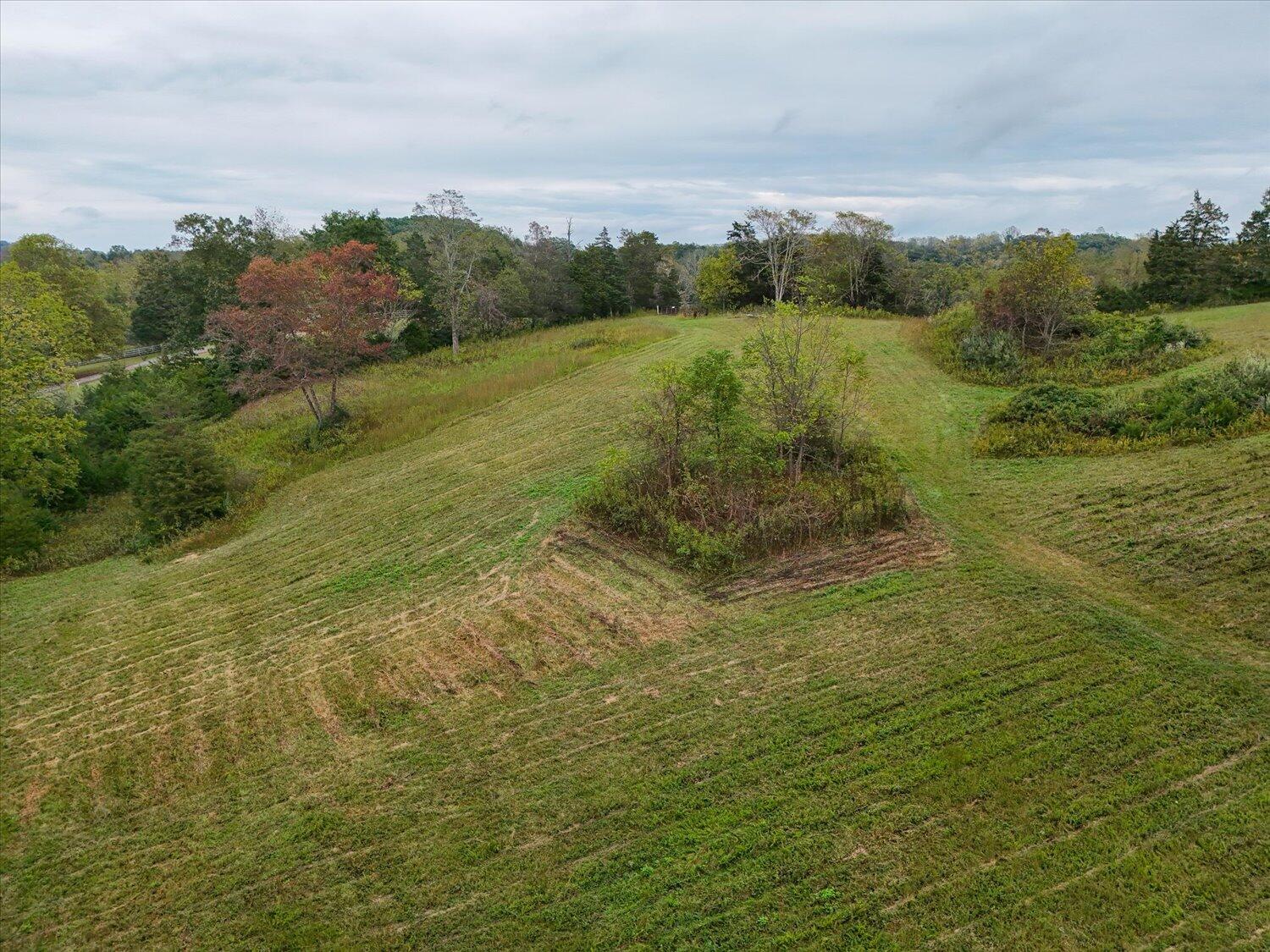 6481 Roanoke Road Fincastle, VA 24090 - Photo 40 of 47 a view of mountain with lake view