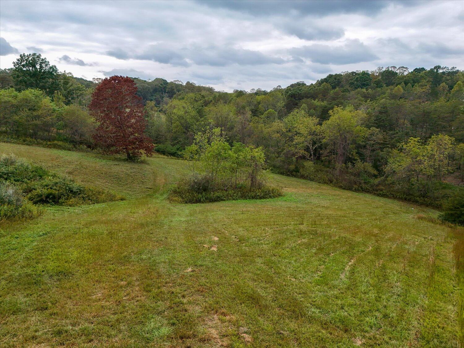 6481 Roanoke Road Fincastle, VA 24090 - Photo 41 of 47