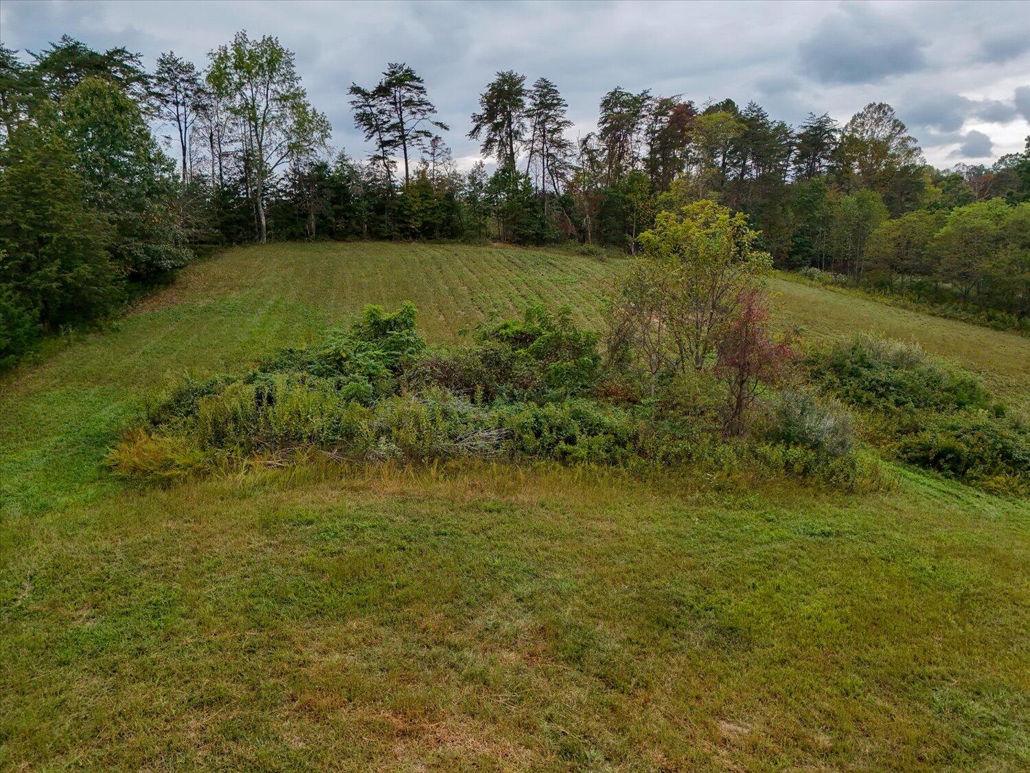 6481 Roanoke Road Fincastle, VA 24090 - Photo 42 of 47 a view of outdoor space and yard