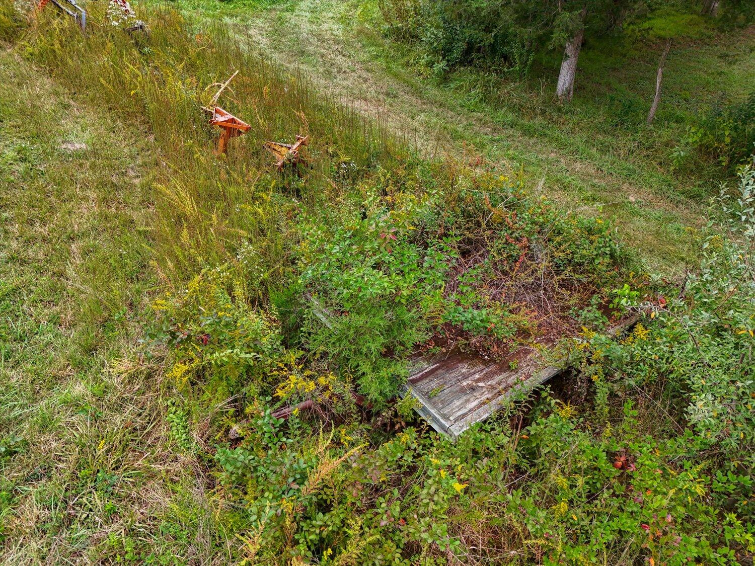 6481 Roanoke Road Fincastle, VA 24090 - Photo 7 of 47 a view of a yard