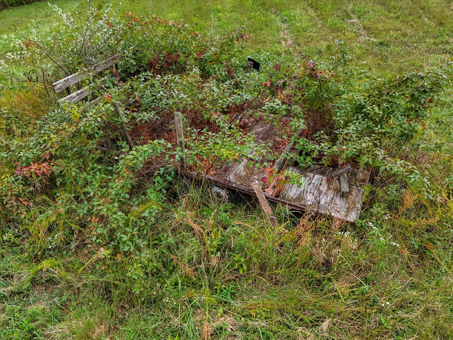 6481 Roanoke Road Fincastle, VA 24090 - Photo 8 of 47 a view of a forest