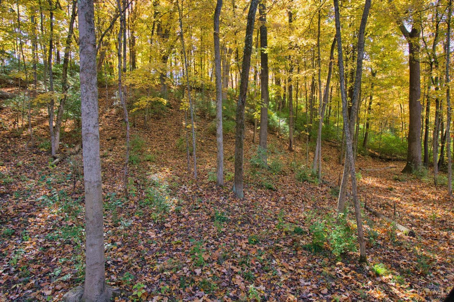 7167 Goshen Road Goshen, OH 45122 - Photo 16 of 31