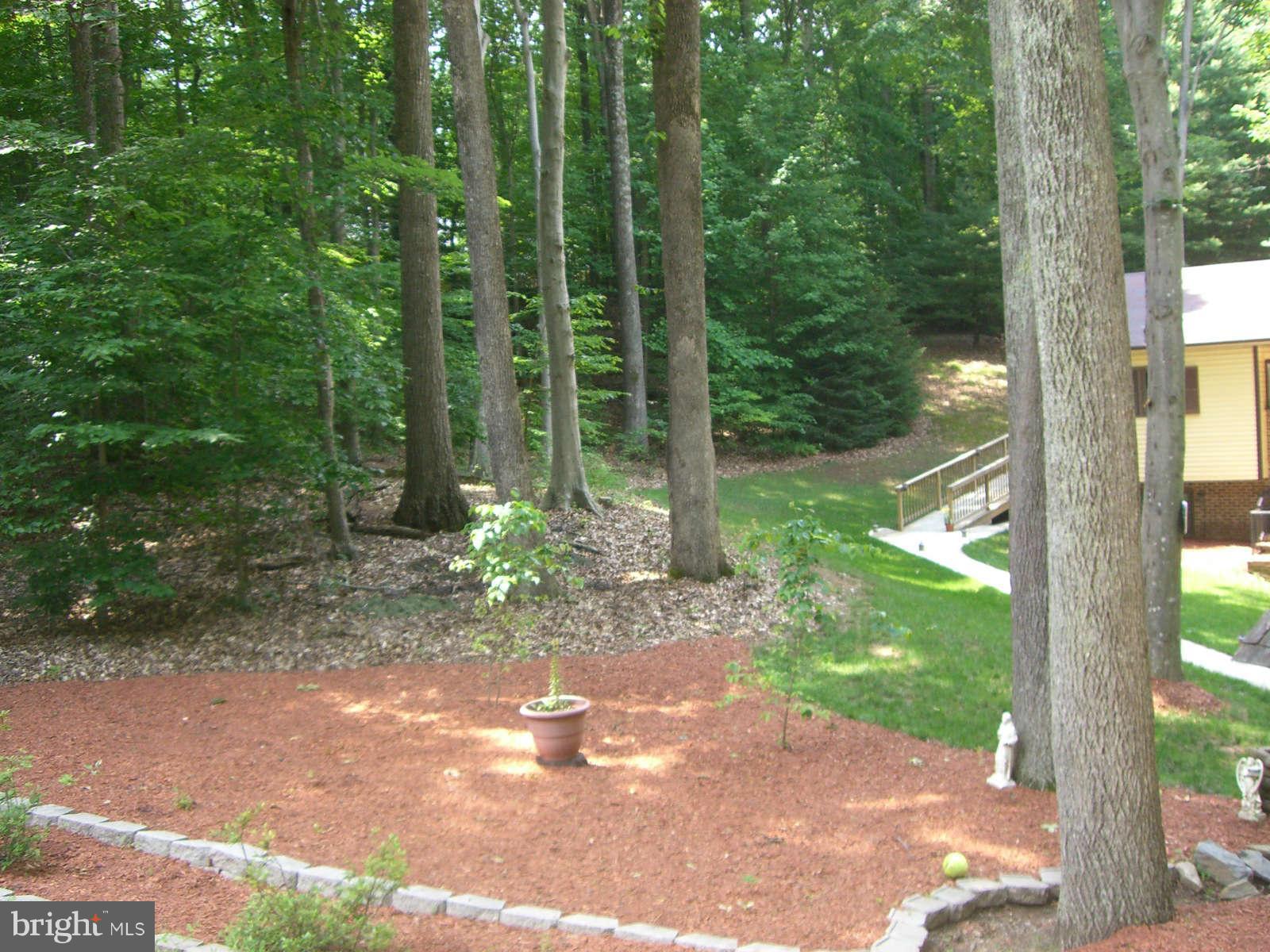 10256 Greystone Road Manassas, VA 20111 - Photo 19 of 23 Front yard