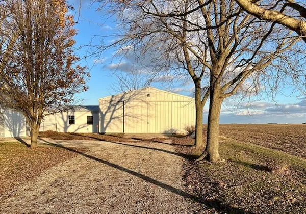 a view of a yard with a tree and a bench