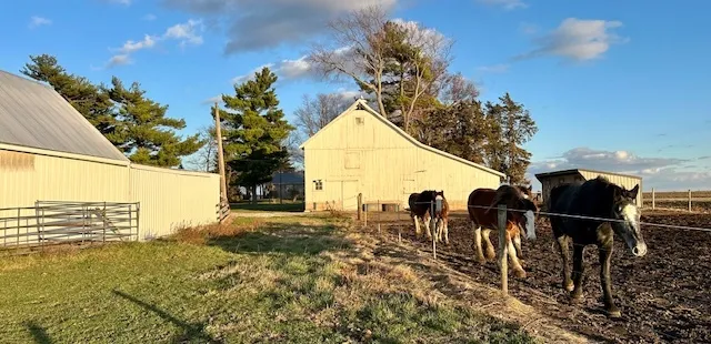 $425,000 | 86 County Road 575 East, Pesotum, IL 61863