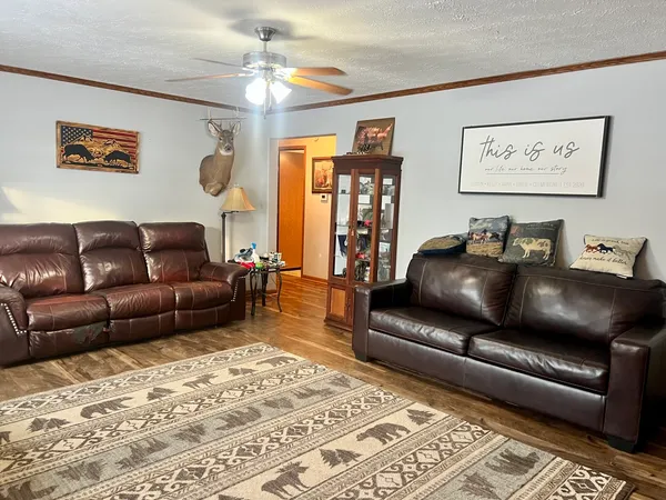 a living room with furniture and a rug