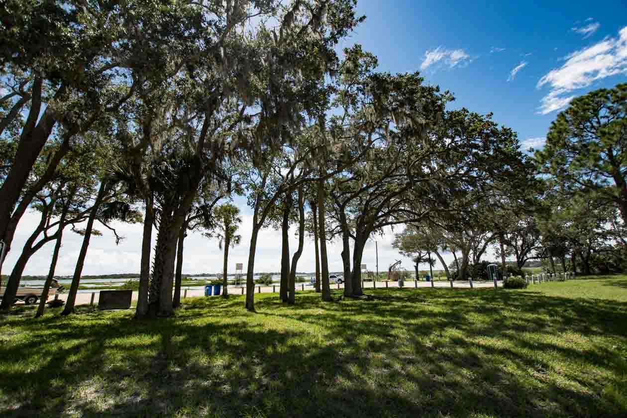 174 Segovia Road St. Augustine, FL 32086 - Photo 24 of 40 a big yard with trees
