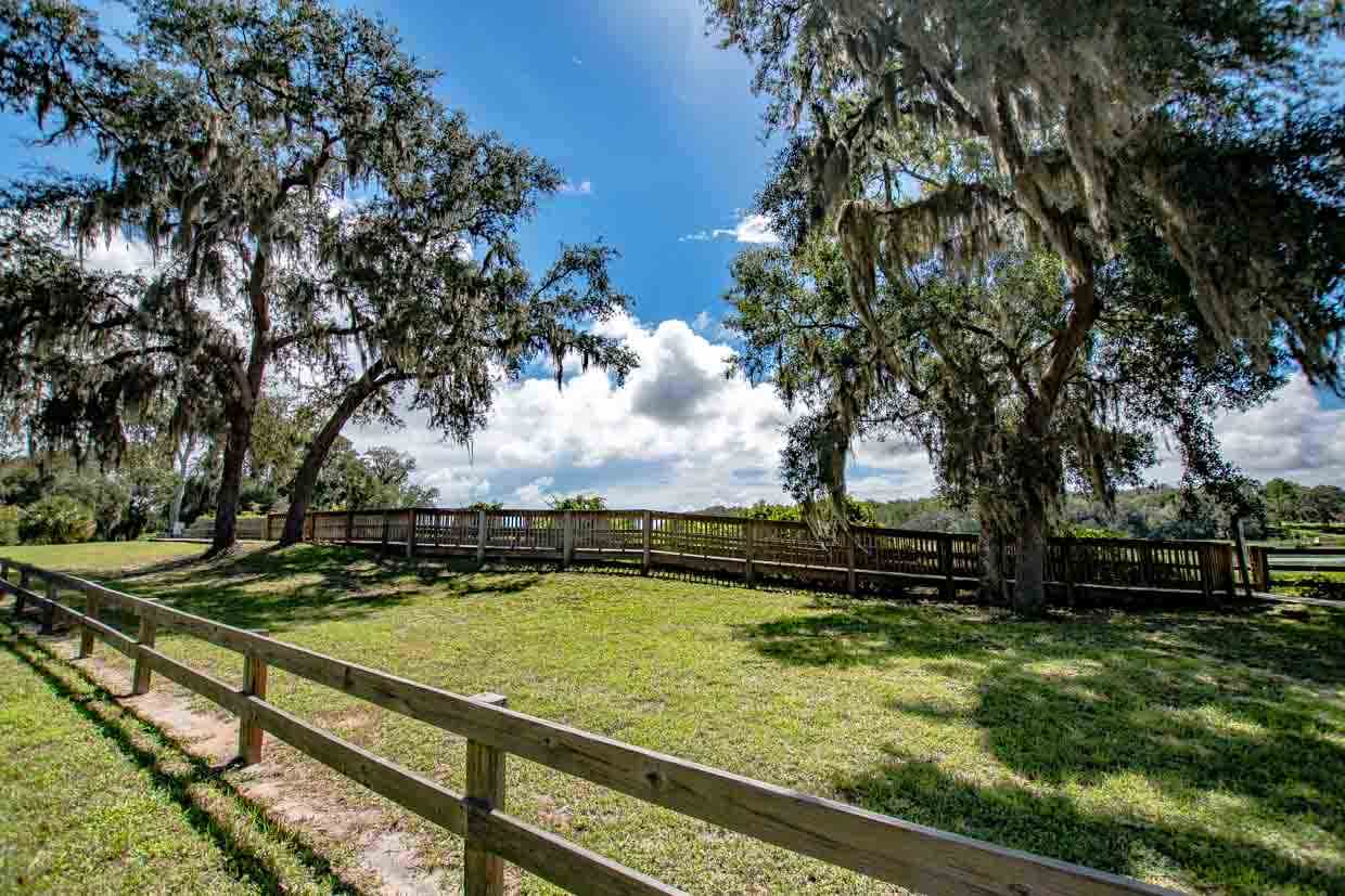 174 Segovia Road St. Augustine, FL 32086 - Photo 38 of 40 a view of swimming pool with seating area and trees around