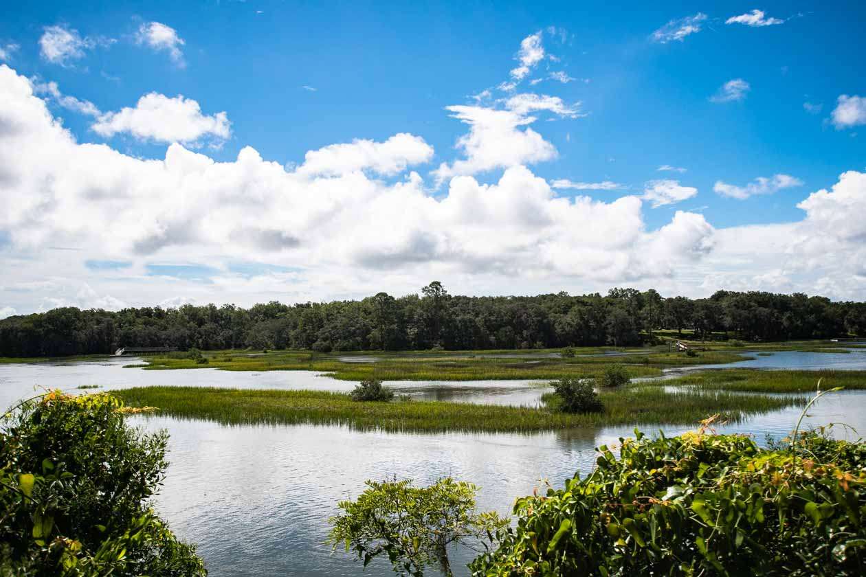174 Segovia Road St. Augustine, FL 32086 - Photo 40 of 40 a view of a lake and a yard