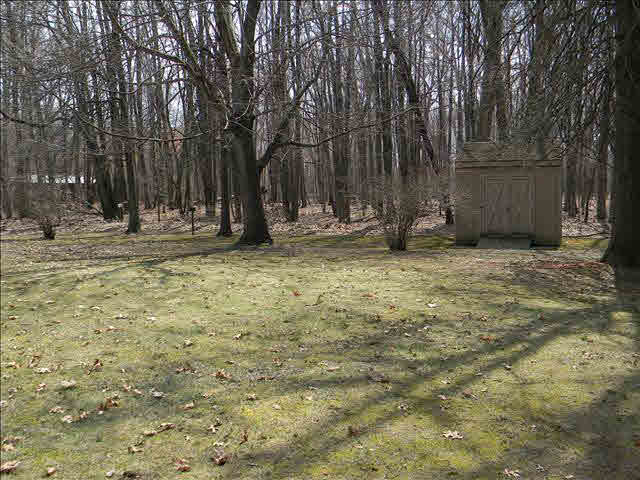 3757 West Erie Road Temperance, MI 48182 - Photo 11 of 12 Back Yard