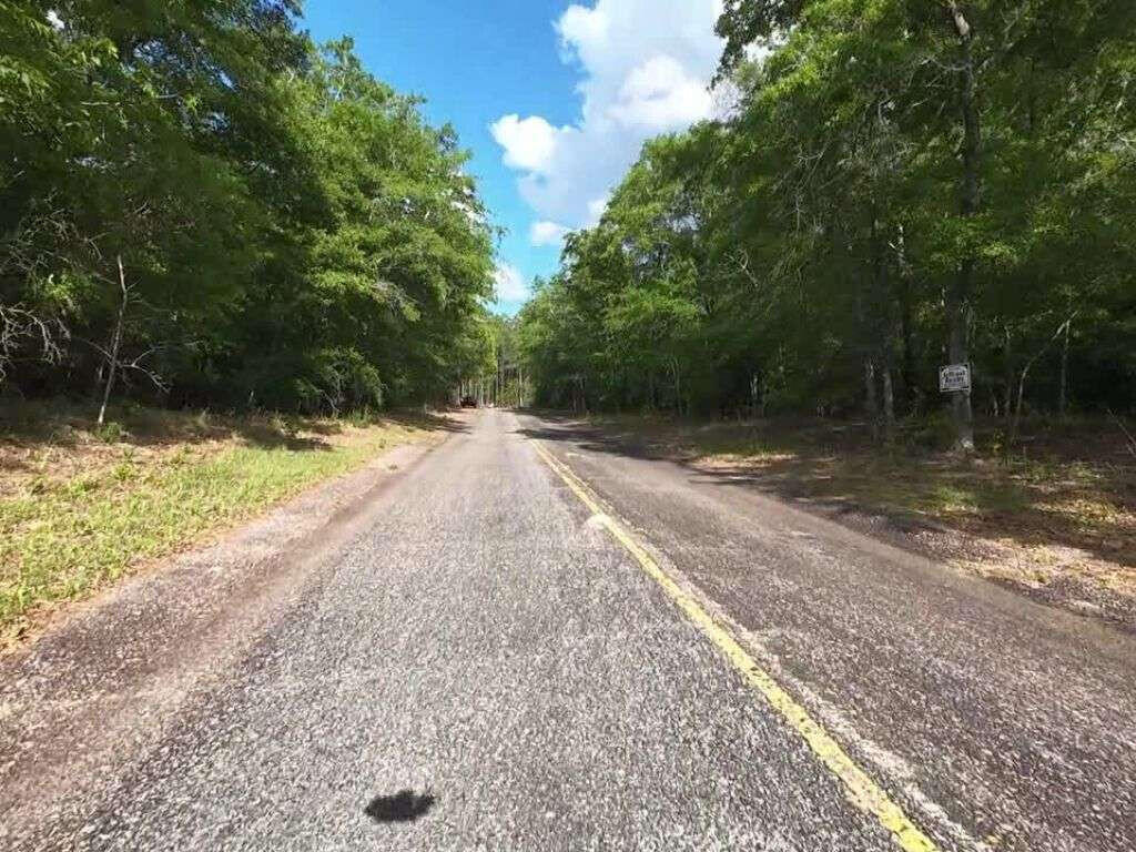 3 Holiness Church Road Wagener, SC 29164 - Photo 13 of 14 Gallery Image 13