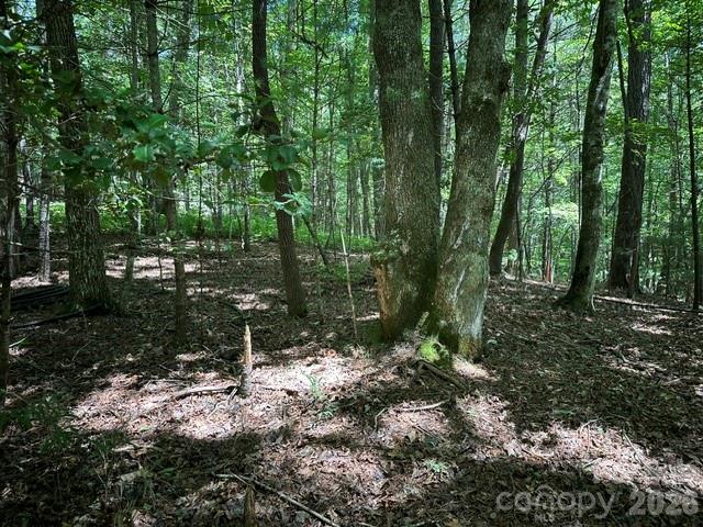 Tbd Blossom Road Brevard, NC 28712 - Photo 5 of 8 Gallery Image 5