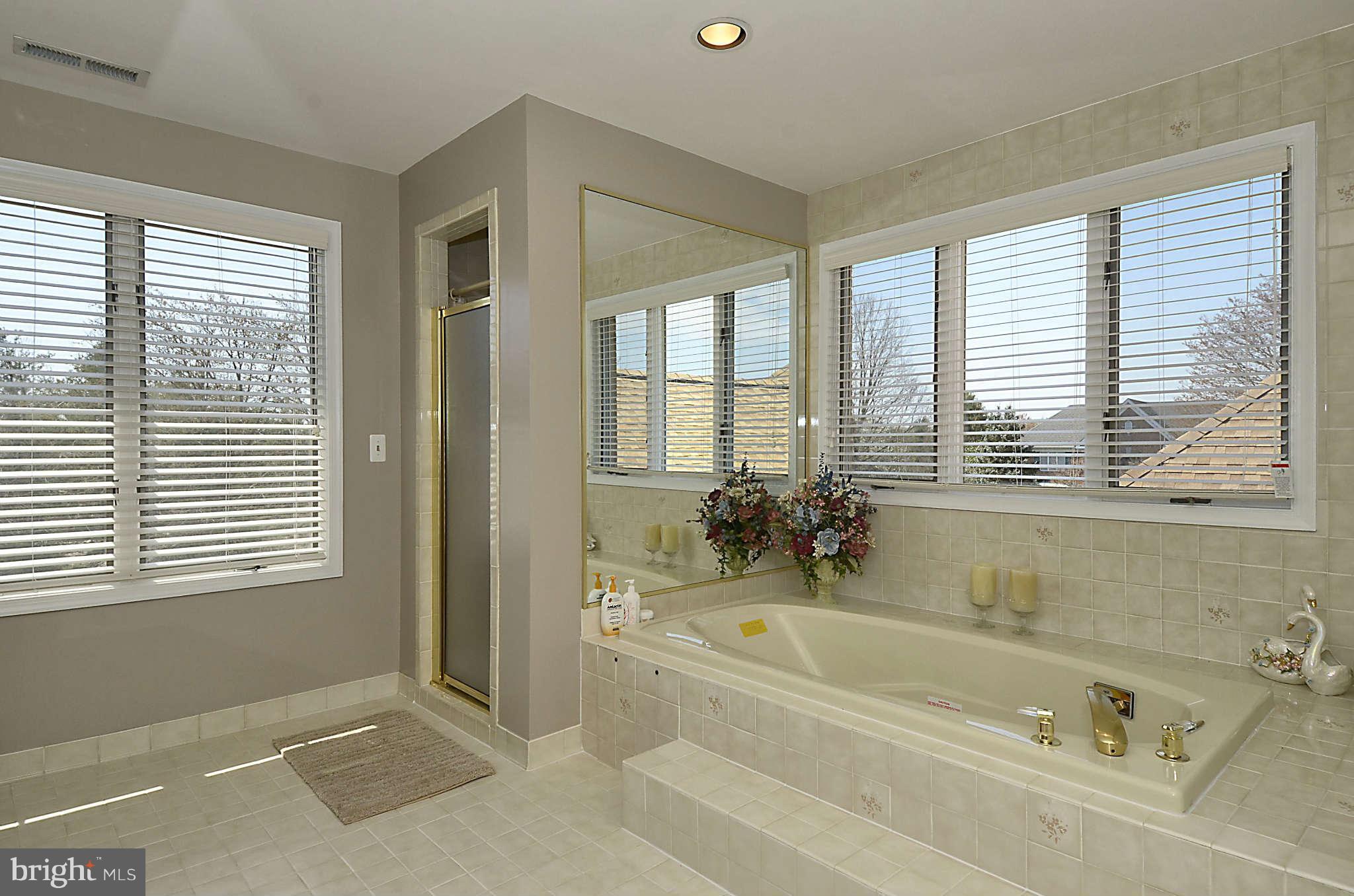 12922 Travilah Road Potomac, MD 20854 - Photo 14 of 30 Bath (Master)