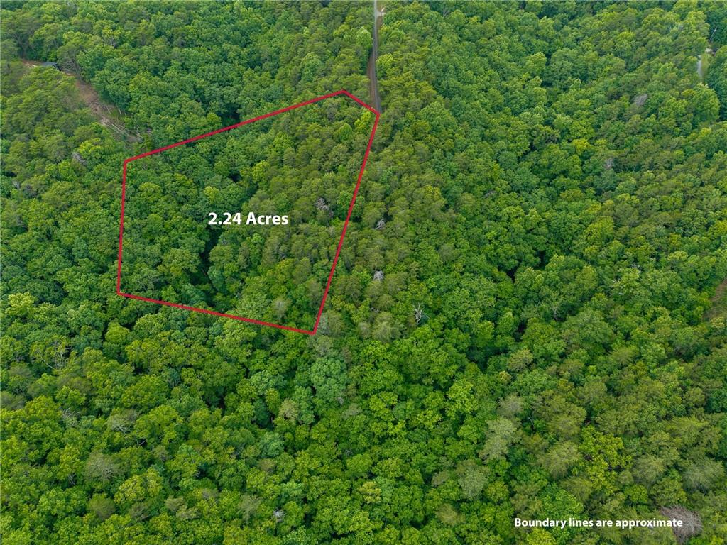 1332 Birch Lane Ranger, GA 30734 - Photo 21 of 48