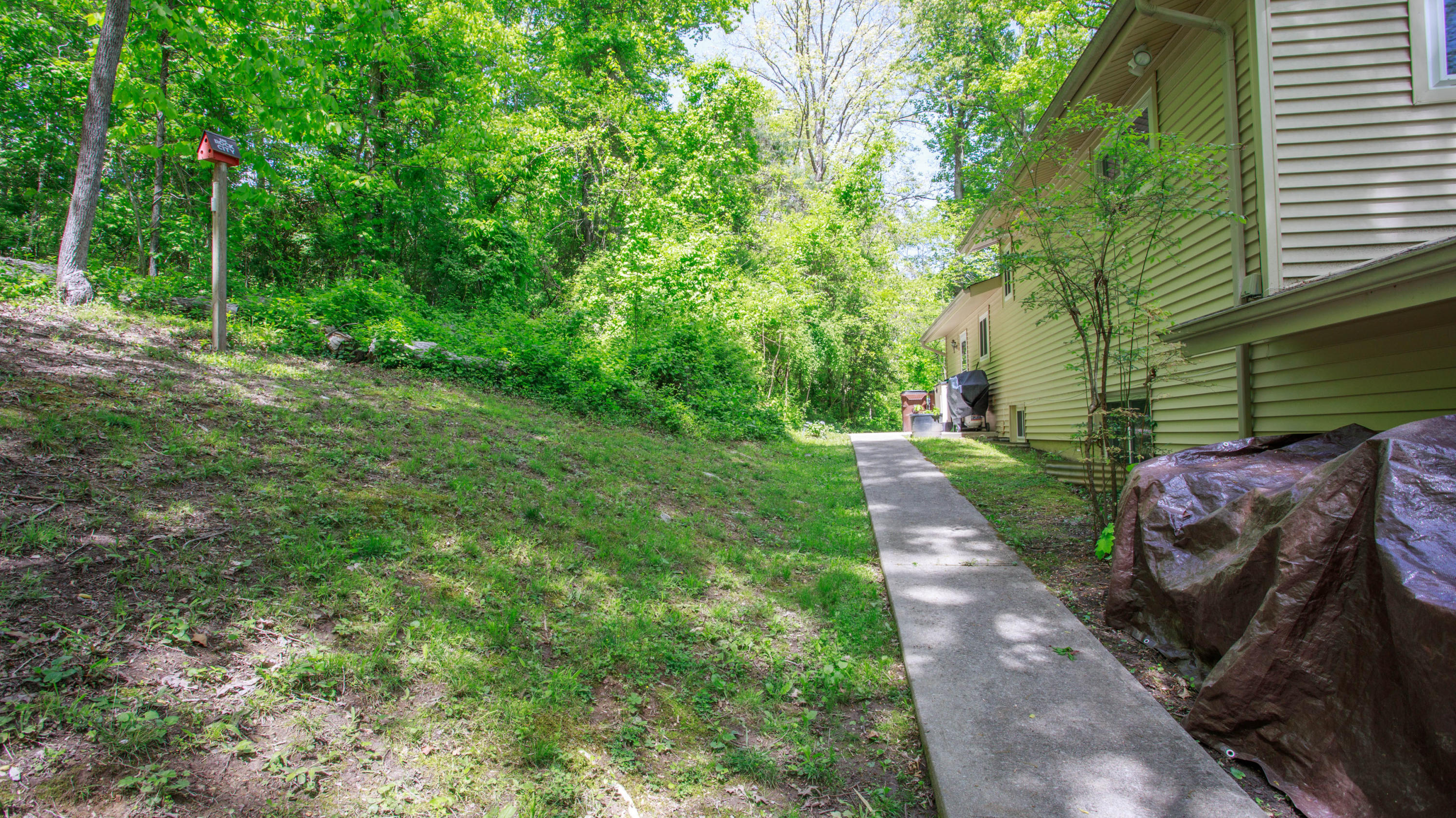 149 California Avenue Oak Ridge, TN 37830 - Photo 34 of 40 149-9
