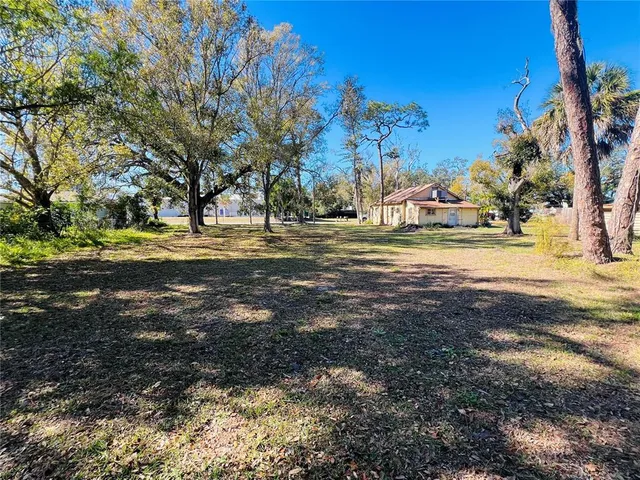 a view of a yard with large trees