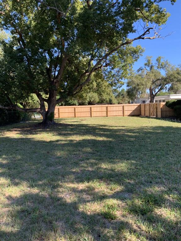 2237 Washington Road Mount Dora, FL 32757 - Photo 11 of 16 a view of a yard