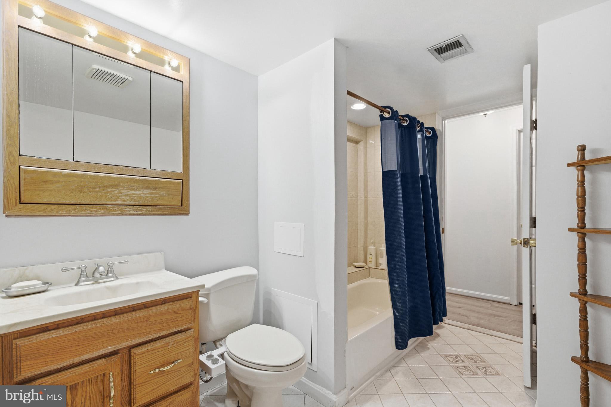 6320 Josephine Road Waldorf, MD 20601 - Photo 42 of 64 Lower Level ensuite bath