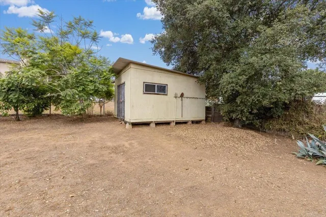 a view of backyard with potted plants and large tree