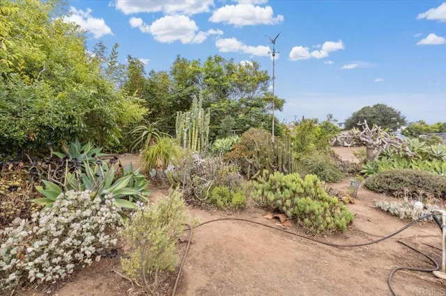 a view of a garden with plants