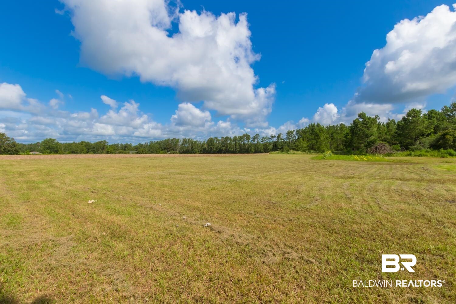 17153 County Road 87 Elberta, AL 36530 - Photo 30 of 35